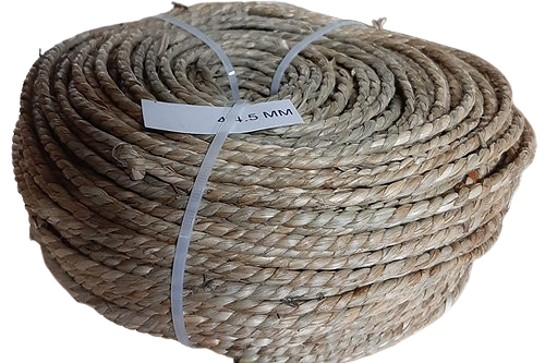 Elha Schnur / Seegrasschnur