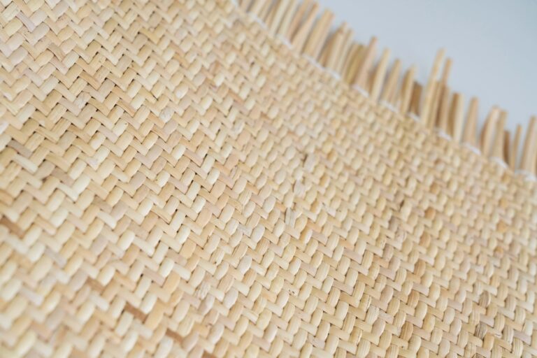 Webbing Visgraat Natural